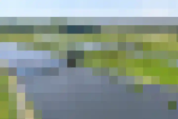 De Vechthorst 32 Hardenberg thumbnail 24