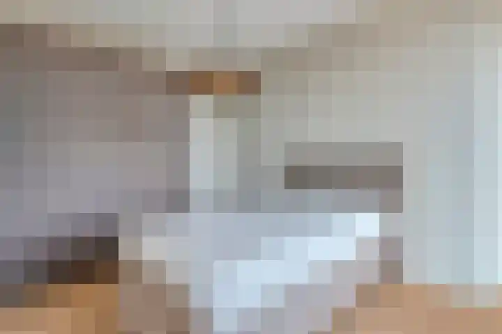 De Vechthorst 32 Hardenberg thumbnail 33