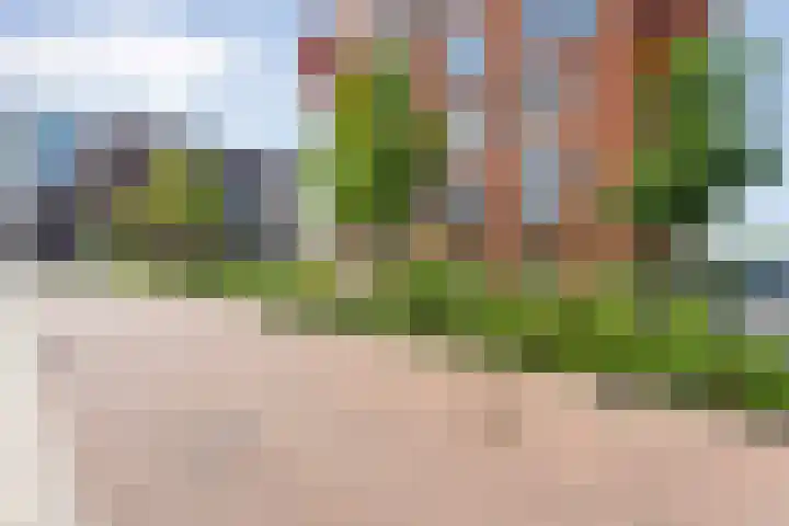 De Vechthorst 32 Hardenberg thumbnail 42