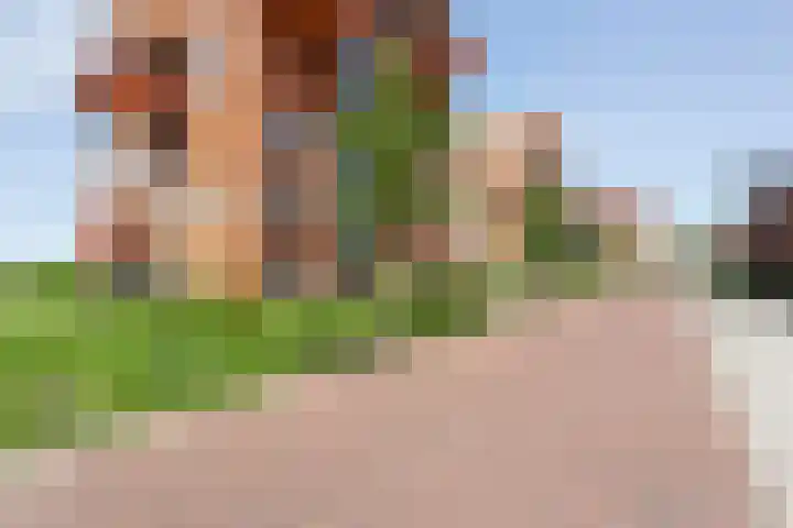 De Vechthorst 32 Hardenberg thumbnail 43