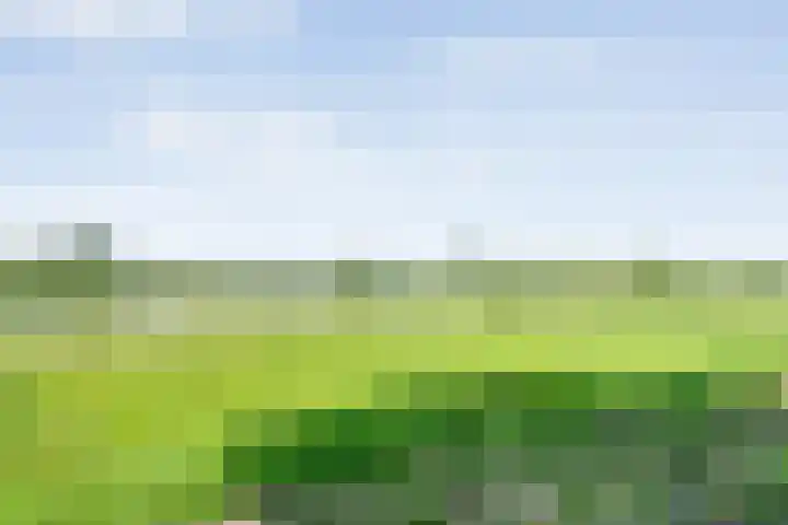 De Vechthorst 32 Hardenberg thumbnail 44