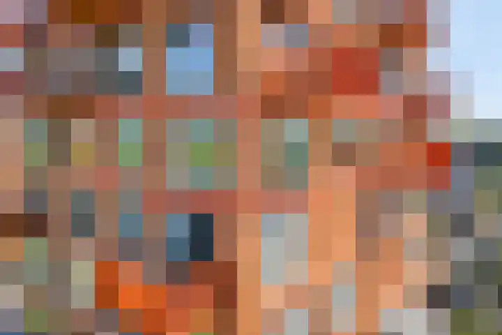 De Vechthorst 32 Hardenberg thumbnail 46