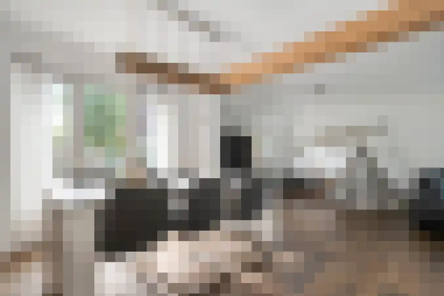 De Veenbies 12 Dedemsvaart thumbnail 13