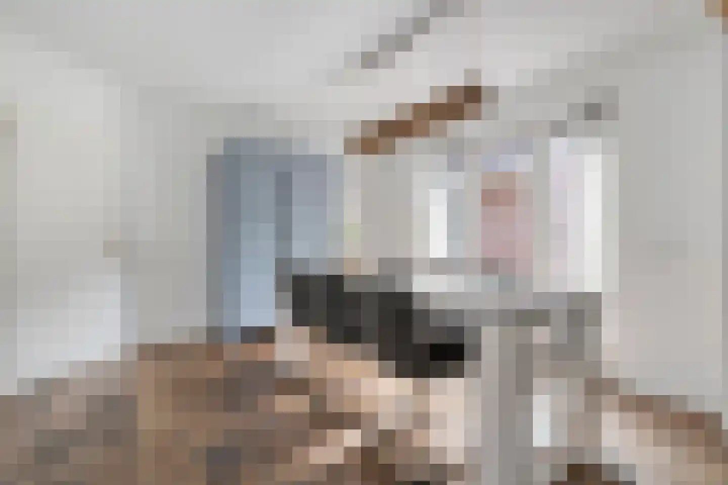 De Veenbies 12 Dedemsvaart thumbnail 14