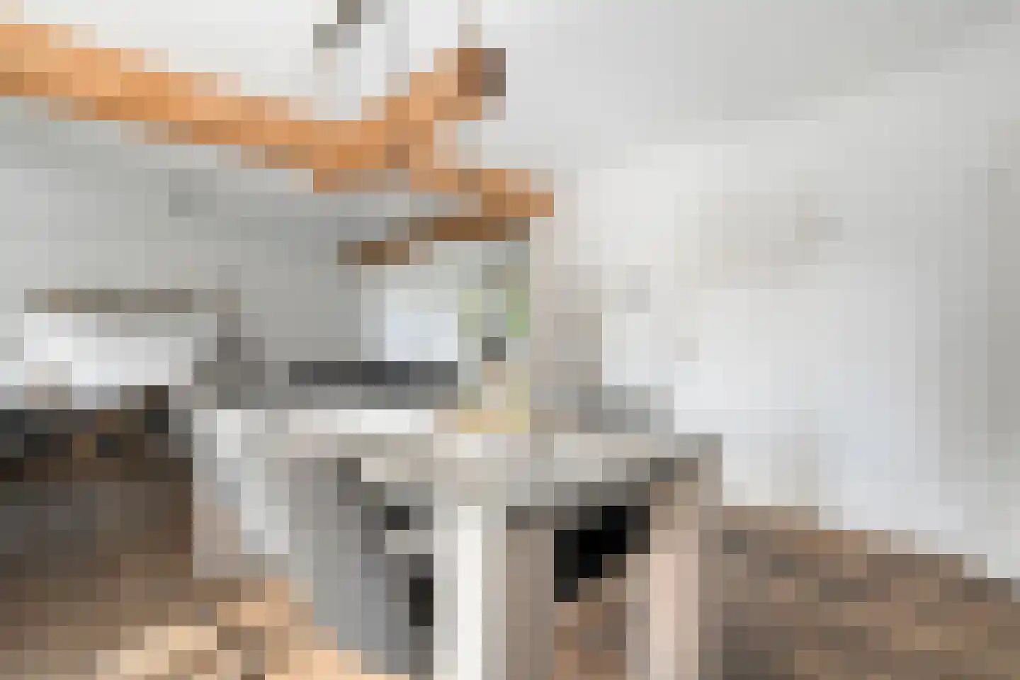 De Veenbies 12 Dedemsvaart thumbnail 15