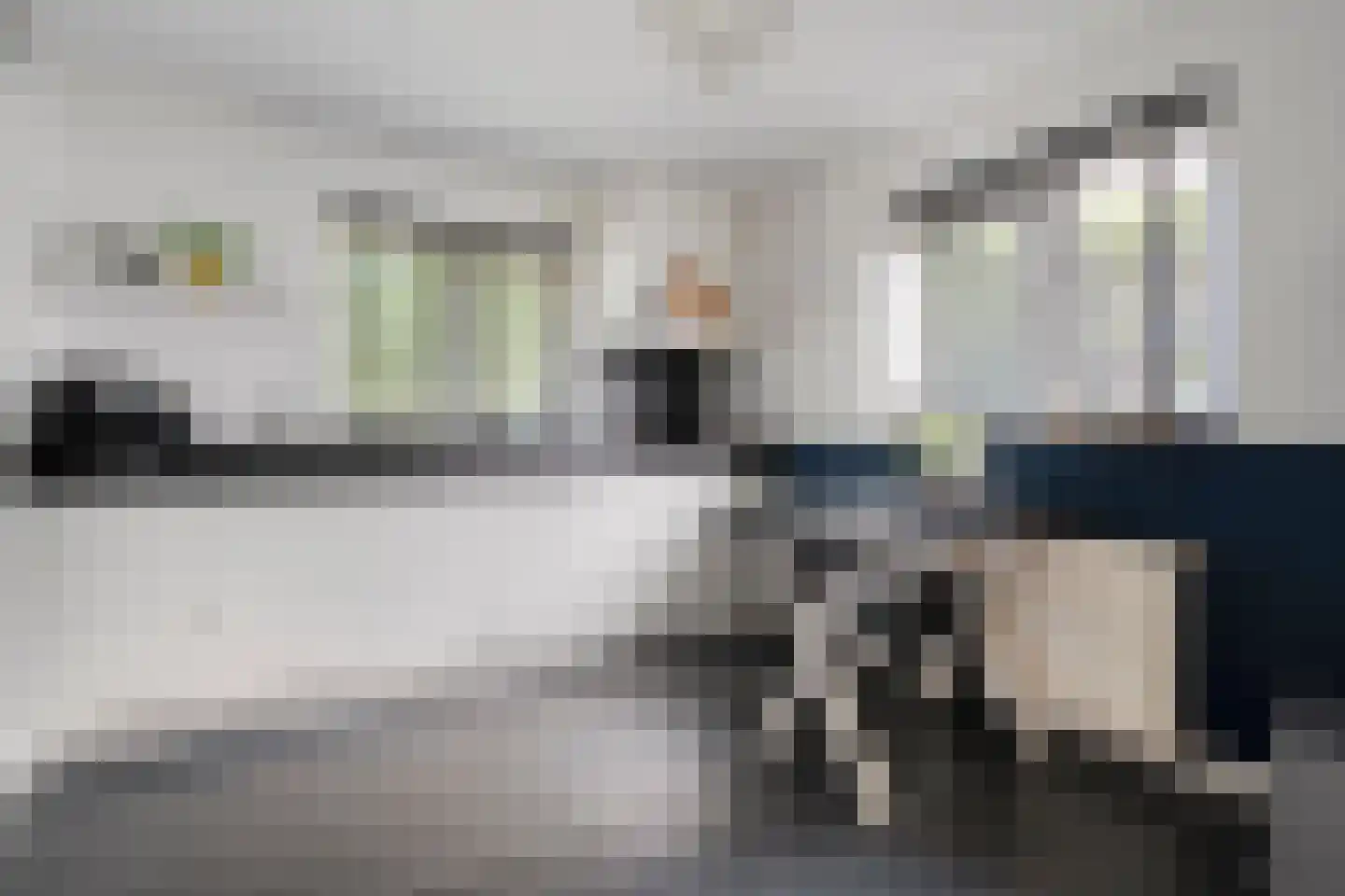 De Veenbies 12 Dedemsvaart thumbnail 18