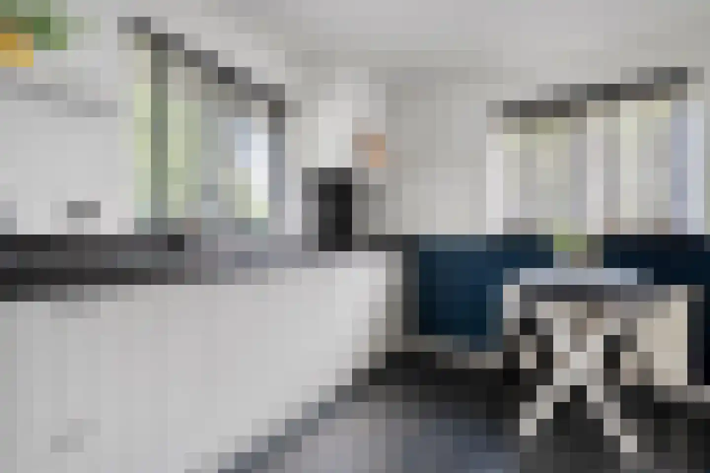 De Veenbies 12 Dedemsvaart thumbnail 19