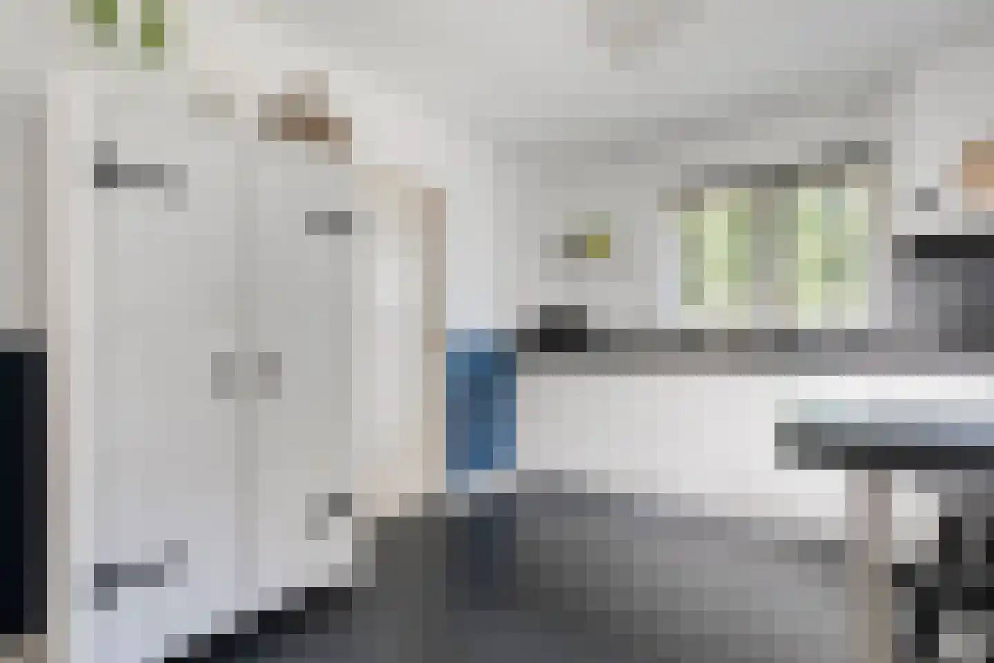 De Veenbies 12 Dedemsvaart thumbnail 20
