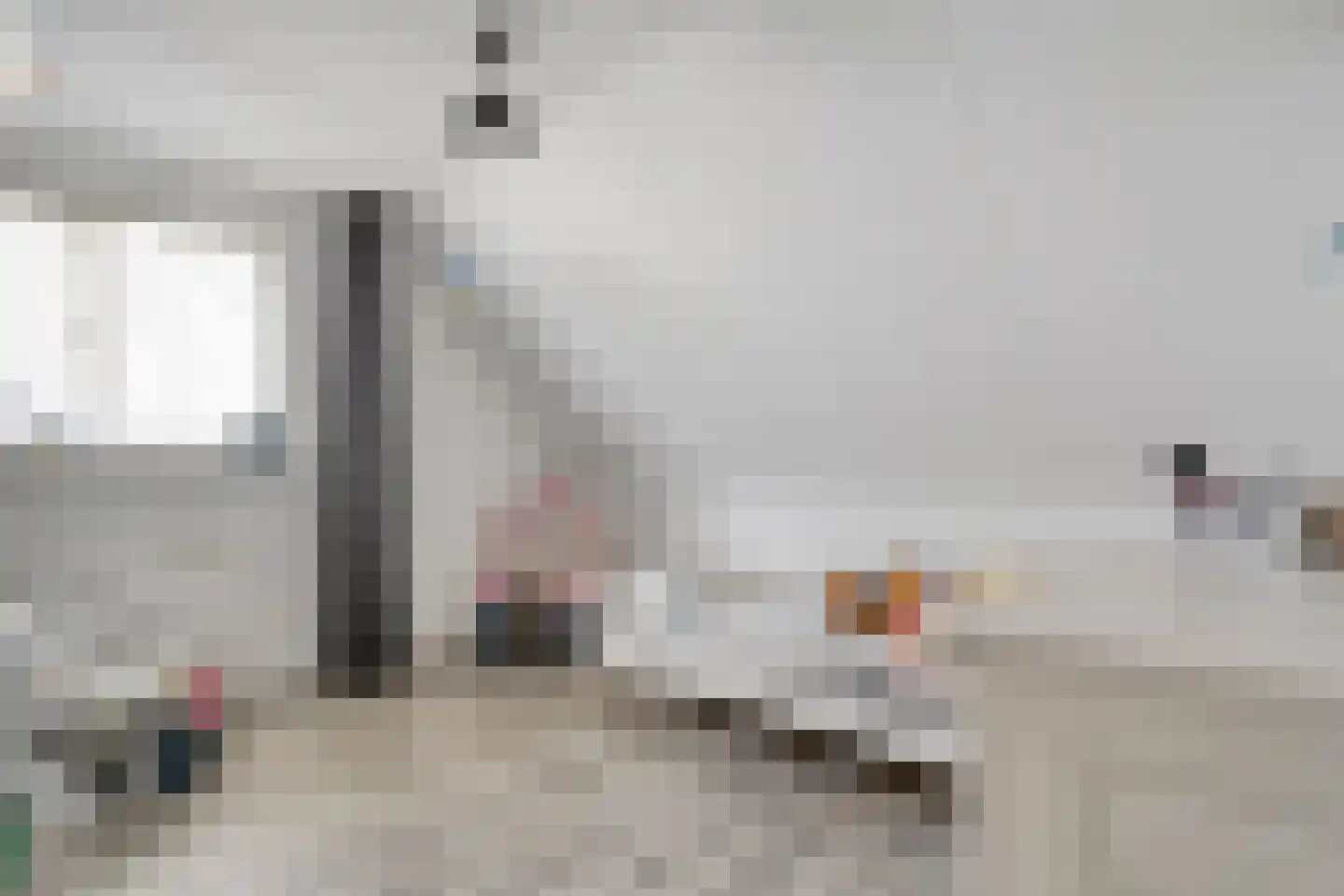 De Veenbies 12 Dedemsvaart thumbnail 27