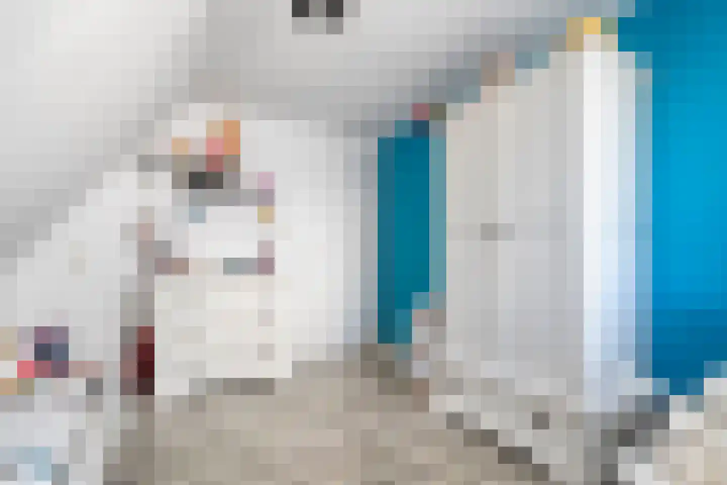 De Veenbies 12 Dedemsvaart thumbnail 28