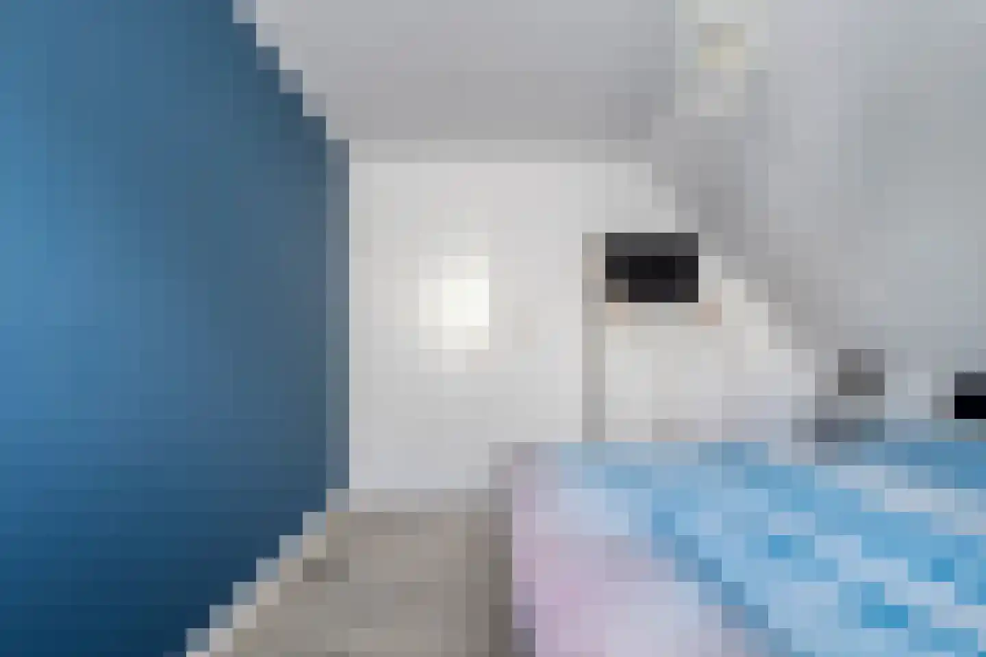 De Veenbies 12 Dedemsvaart thumbnail 31