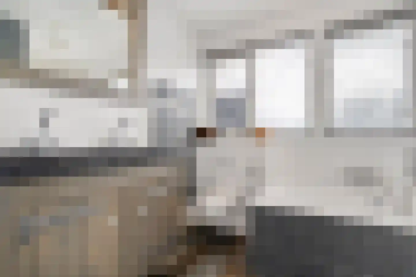De Veenbies 12 Dedemsvaart thumbnail 32