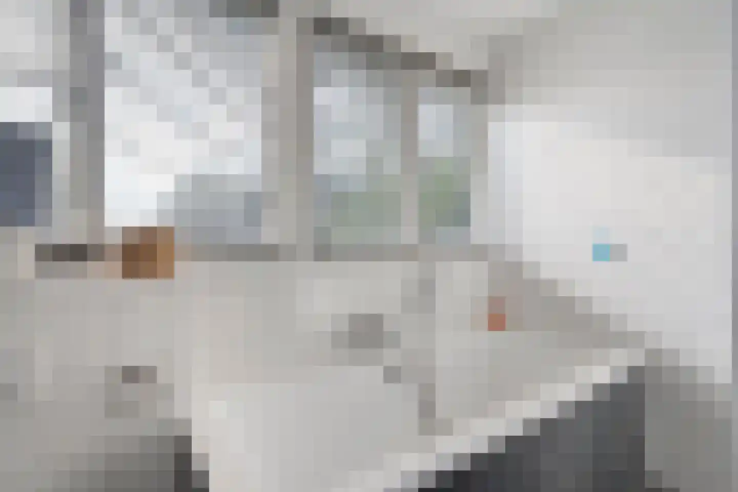 De Veenbies 12 Dedemsvaart thumbnail 33
