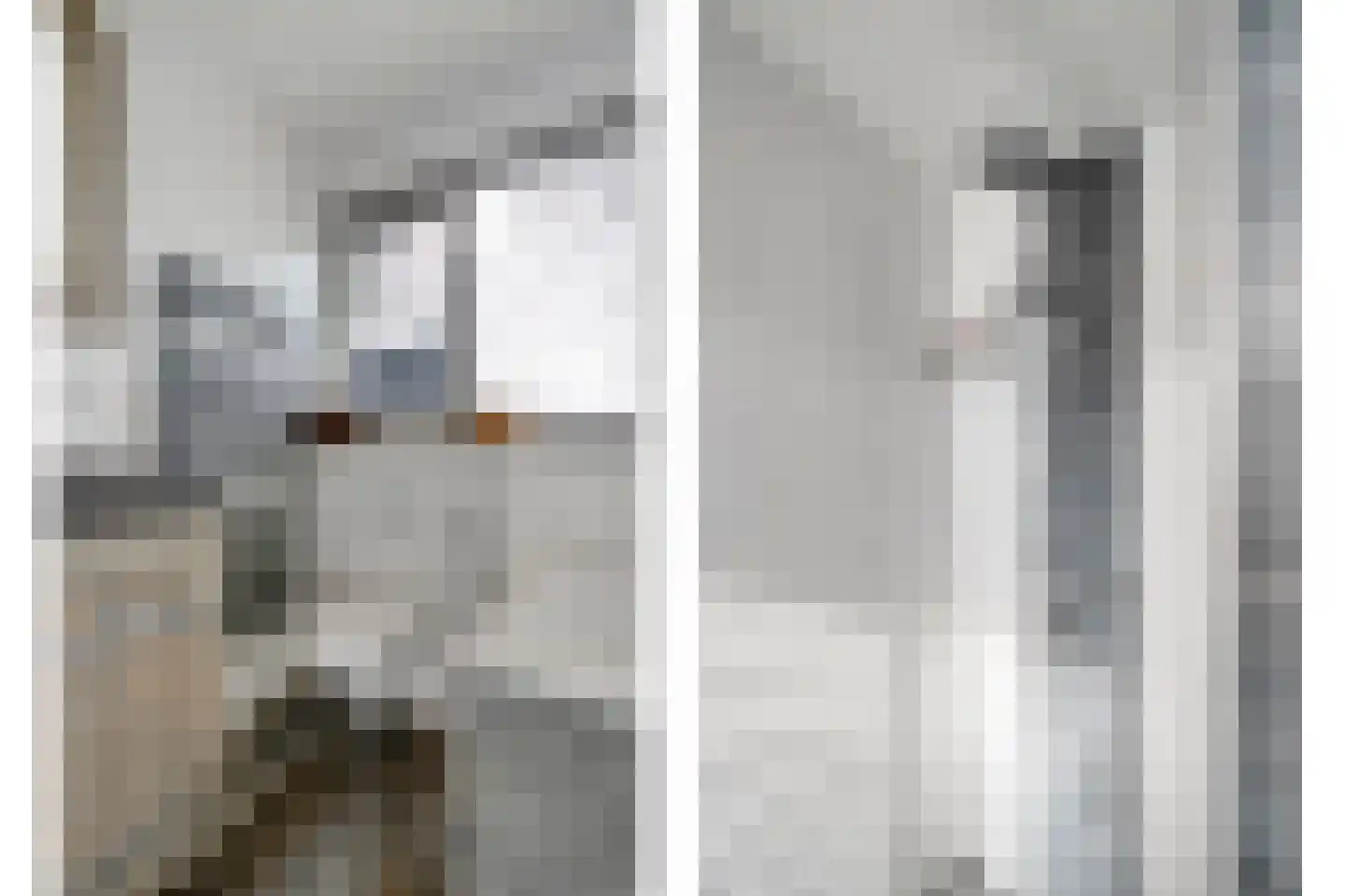 De Veenbies 12 Dedemsvaart thumbnail 34