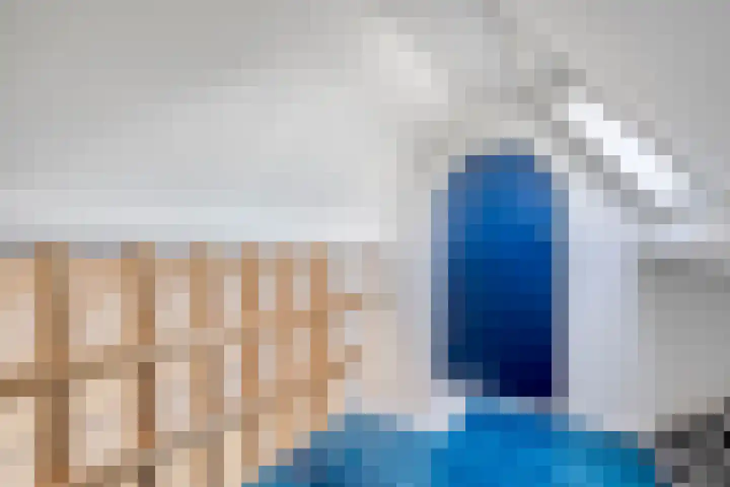 De Veenbies 12 Dedemsvaart thumbnail 37