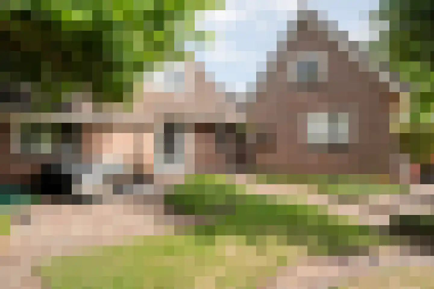 De Veenbies 12 Dedemsvaart thumbnail 39