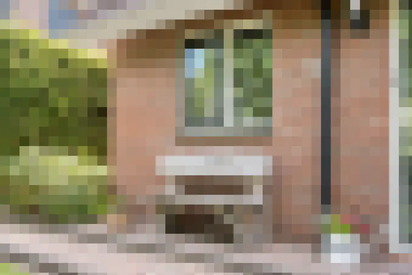 De Veenbies 12 Dedemsvaart thumbnail 4