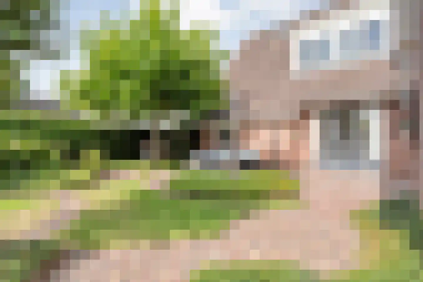 De Veenbies 12 Dedemsvaart thumbnail 40