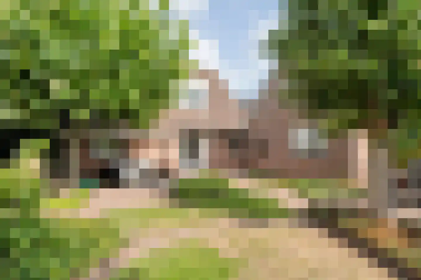 De Veenbies 12 Dedemsvaart thumbnail 41