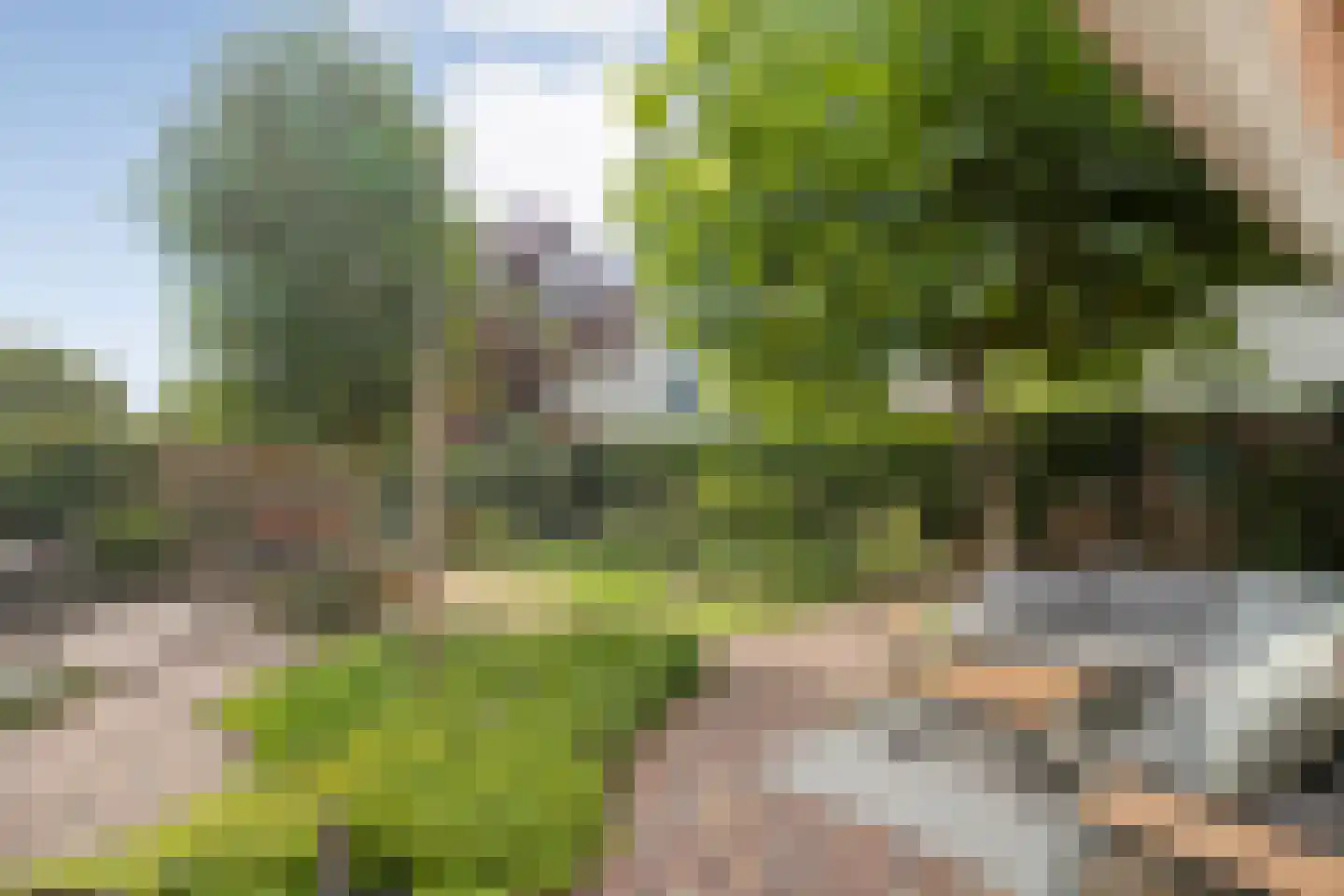 De Veenbies 12 Dedemsvaart thumbnail 42