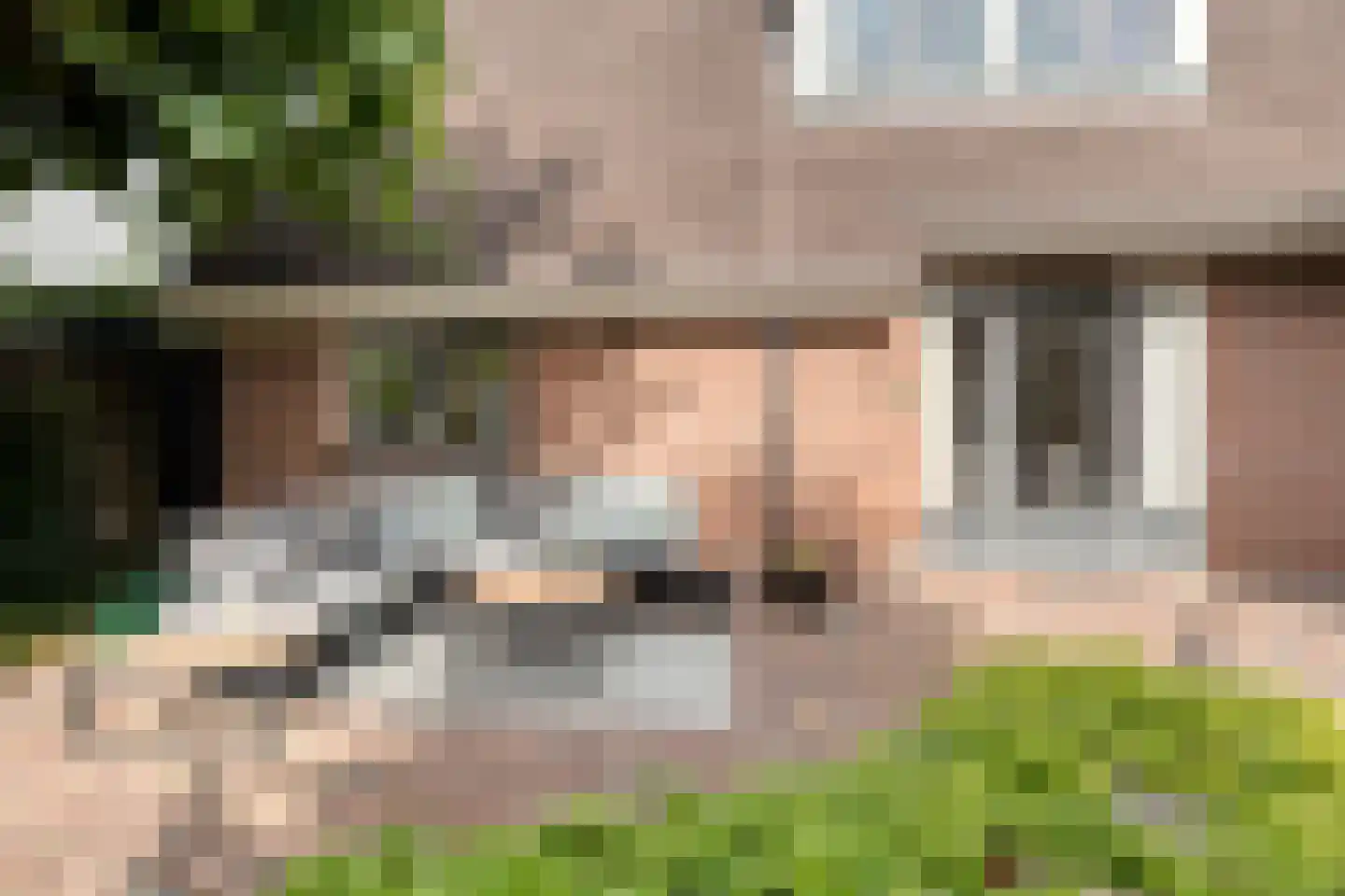 De Veenbies 12 Dedemsvaart thumbnail 44