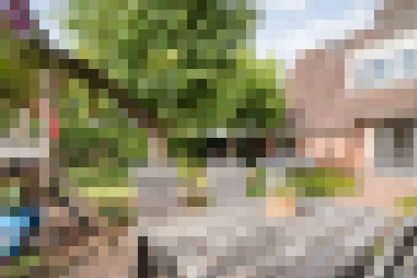 De Veenbies 12 Dedemsvaart thumbnail 45