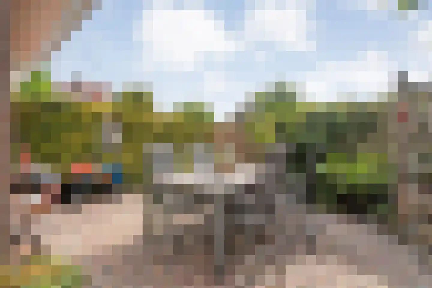 De Veenbies 12 Dedemsvaart thumbnail 46