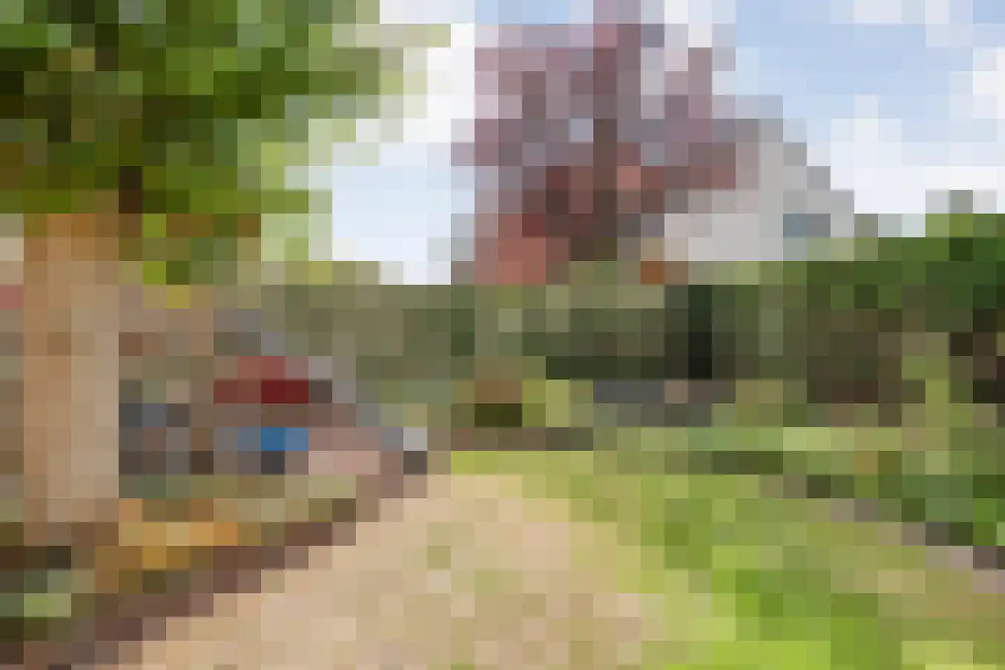 De Veenbies 12 Dedemsvaart thumbnail 47