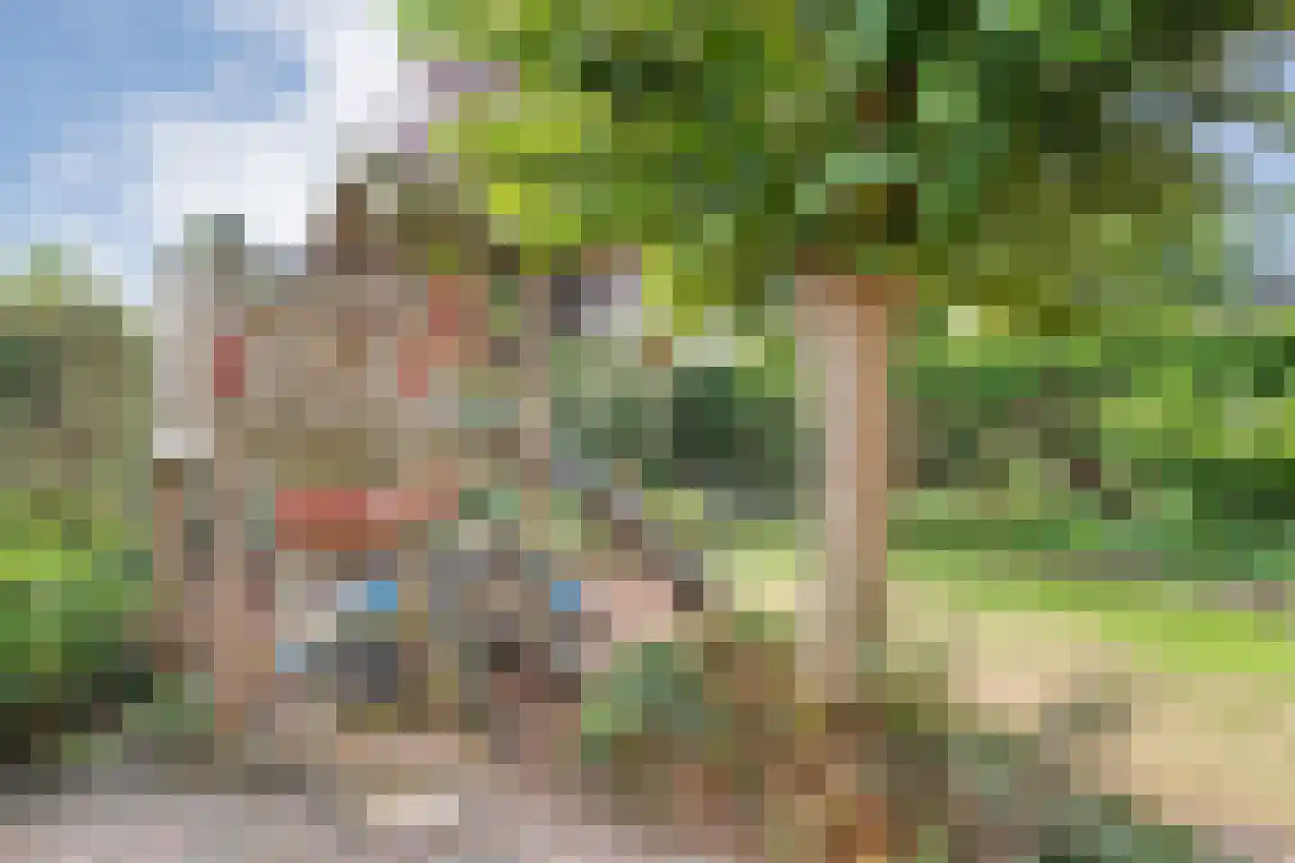 De Veenbies 12 Dedemsvaart thumbnail 48
