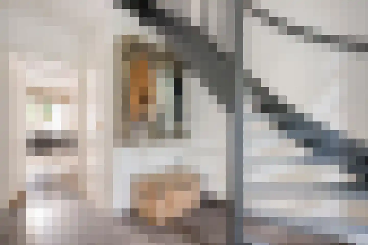 De Veenbies 12 Dedemsvaart thumbnail 5