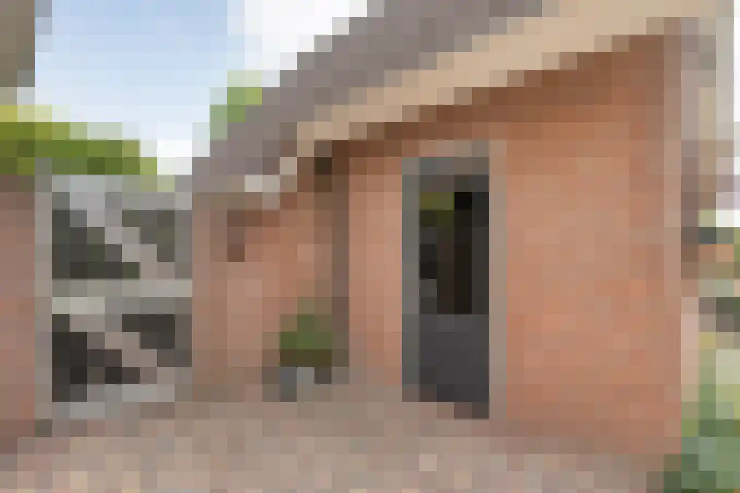 De Veenbies 12 Dedemsvaart thumbnail 51