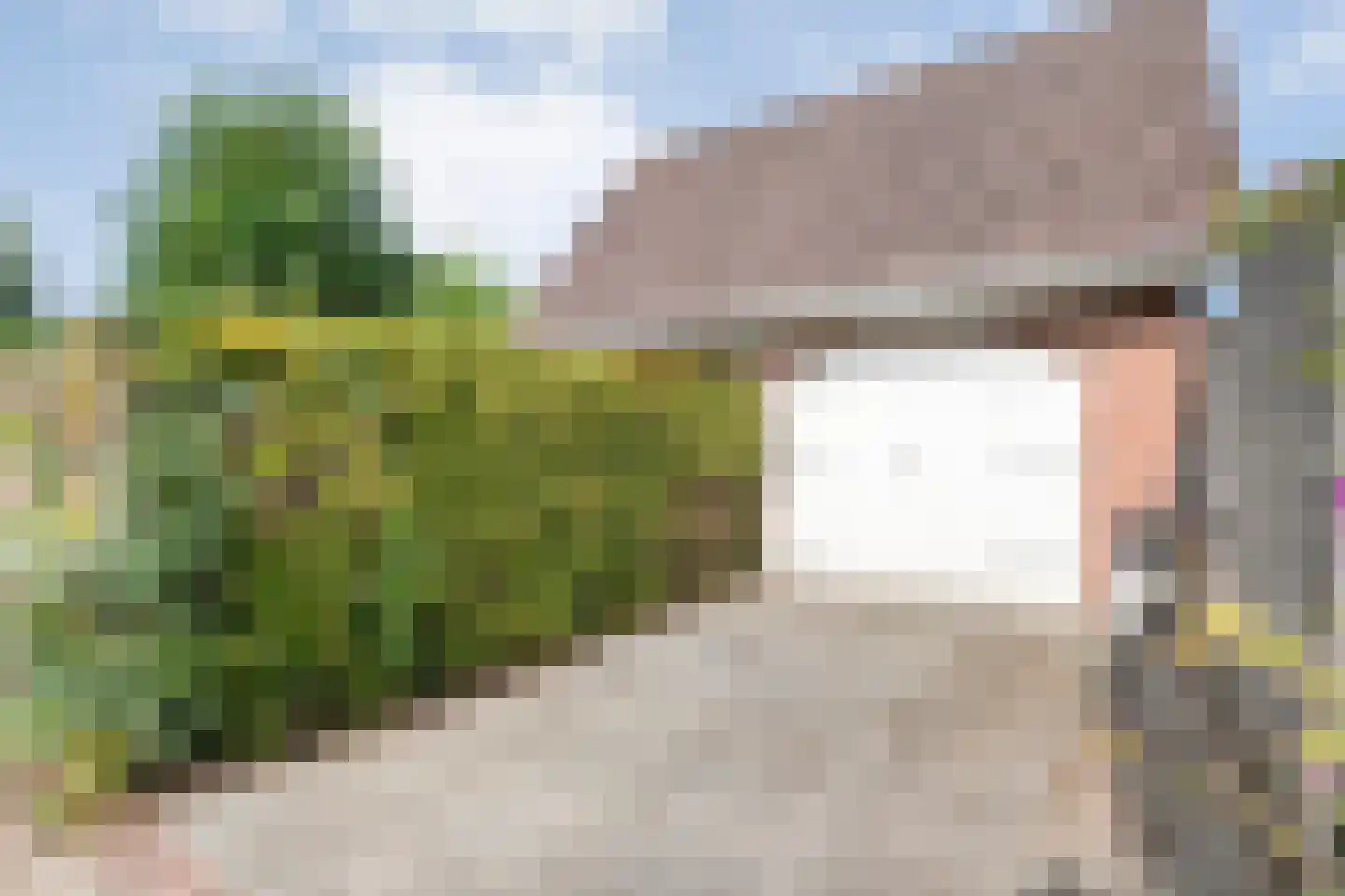 De Veenbies 12 Dedemsvaart thumbnail 53