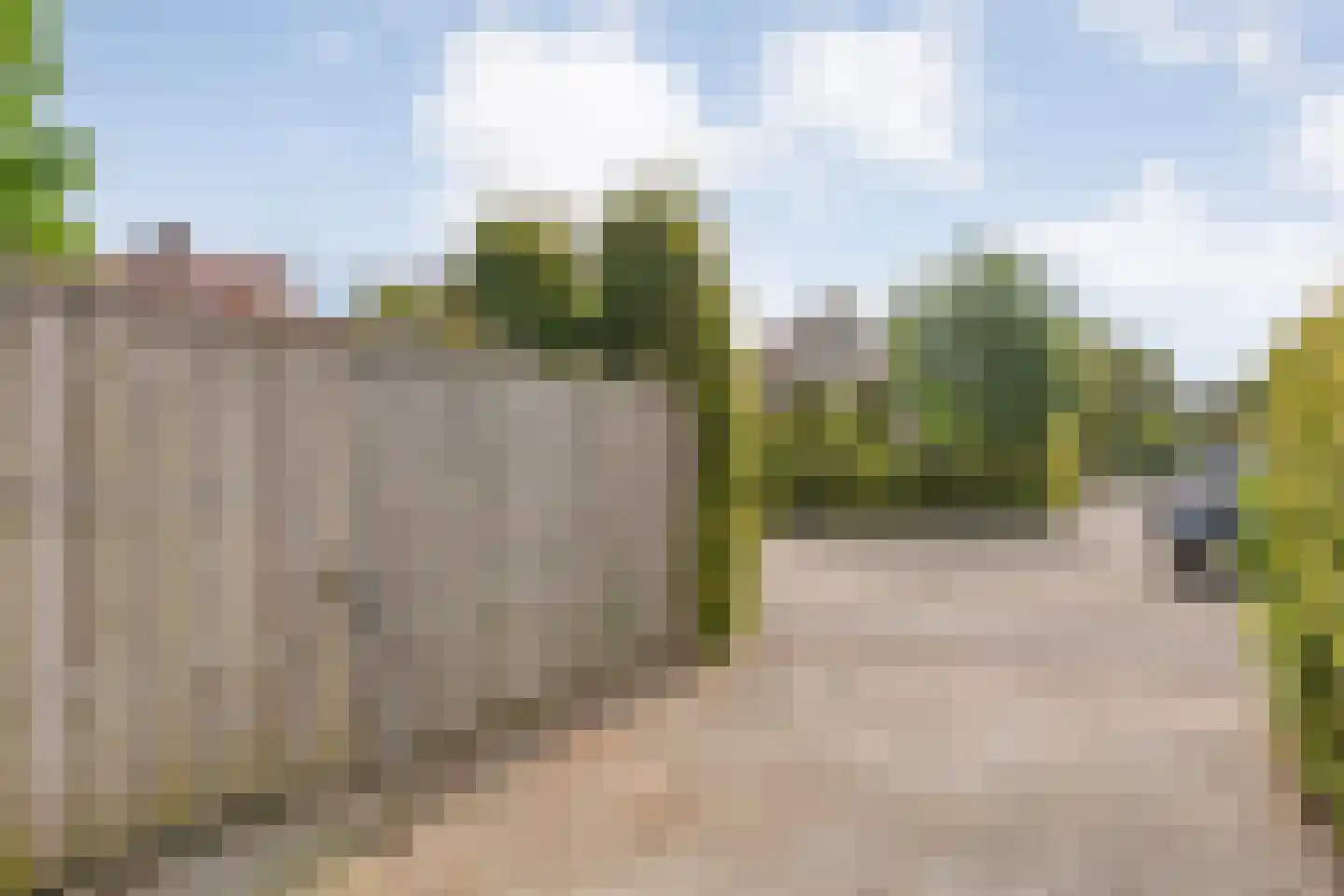 De Veenbies 12 Dedemsvaart thumbnail 54