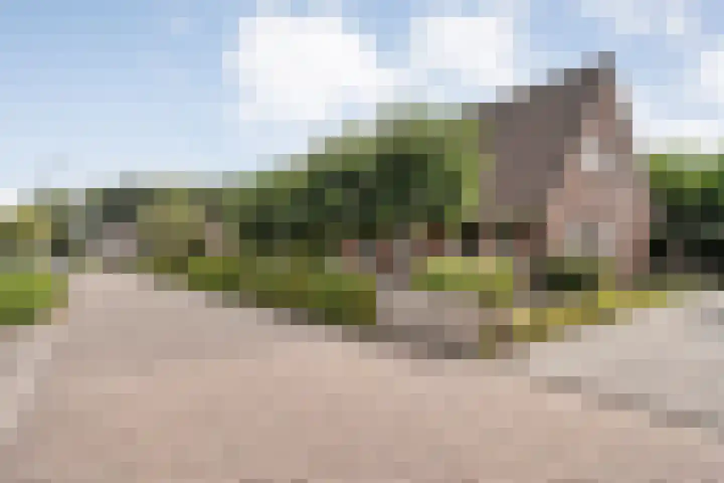 De Veenbies 12 Dedemsvaart thumbnail 55