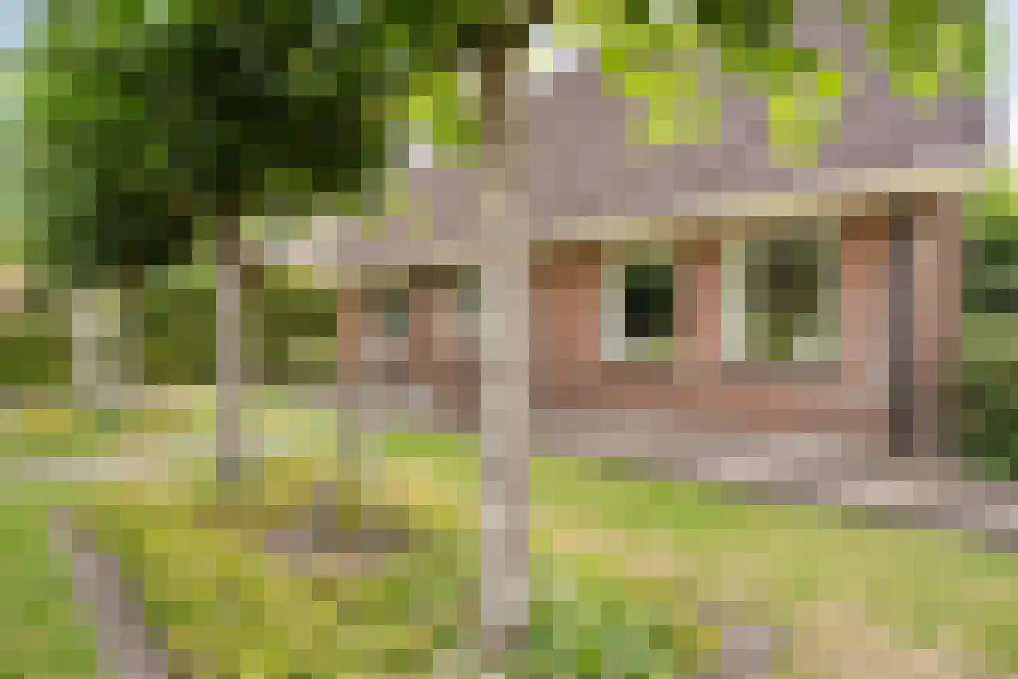 De Veenbies 12 Dedemsvaart thumbnail 56