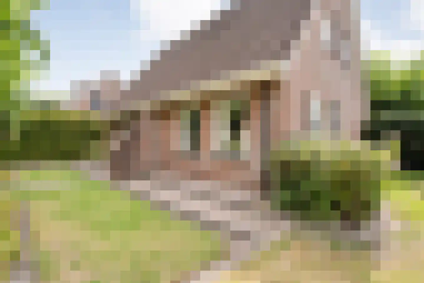 De Veenbies 12 Dedemsvaart thumbnail 57