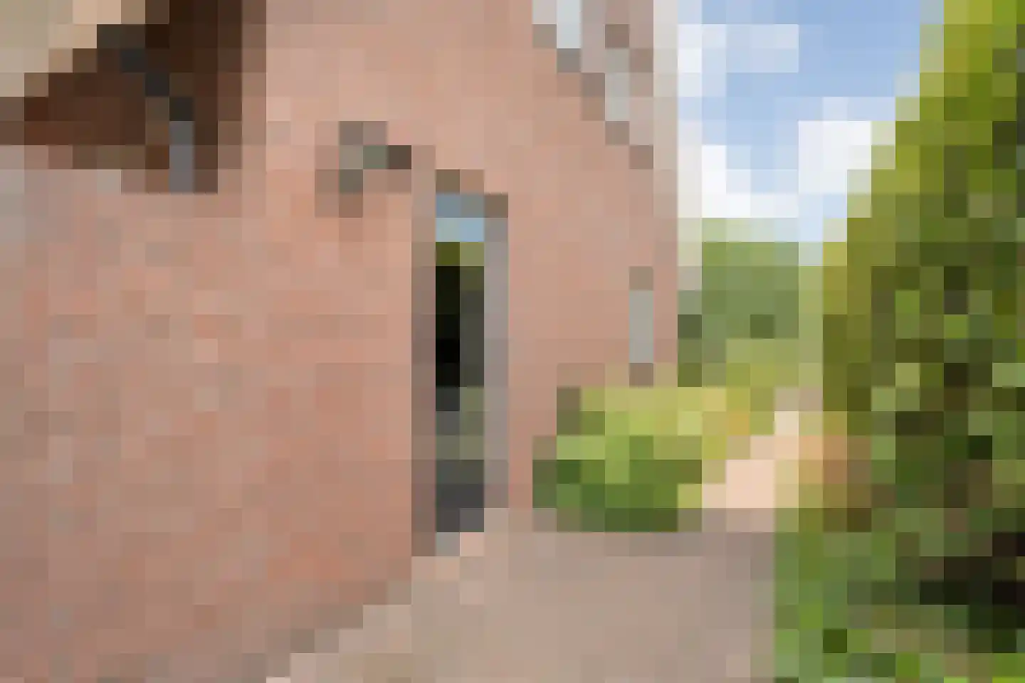 De Veenbies 12 Dedemsvaart thumbnail 59