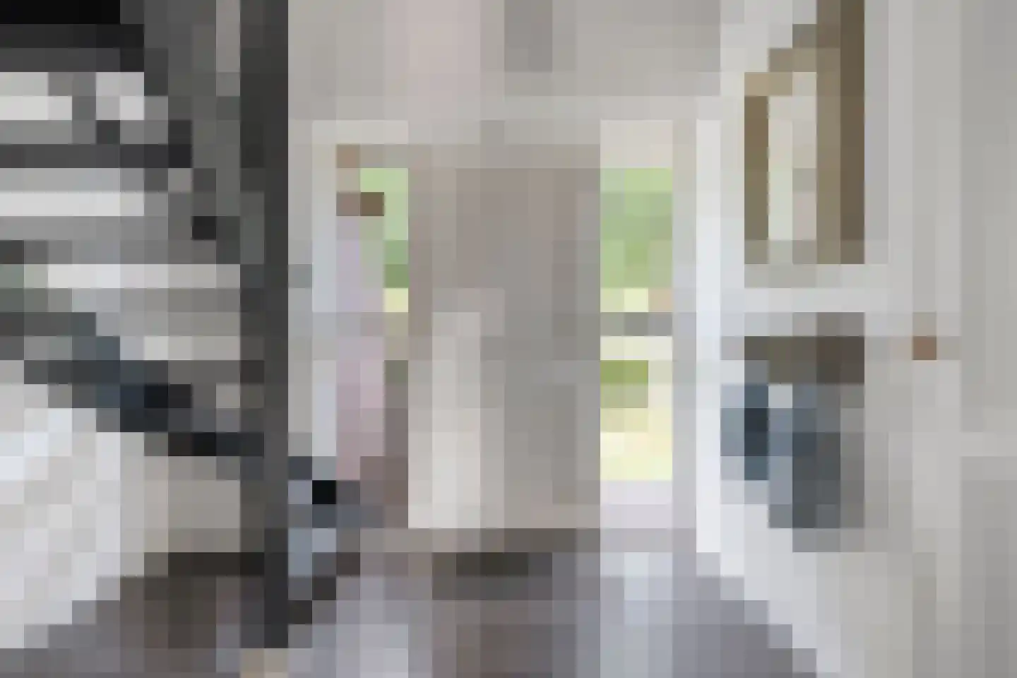 De Veenbies 12 Dedemsvaart thumbnail 6