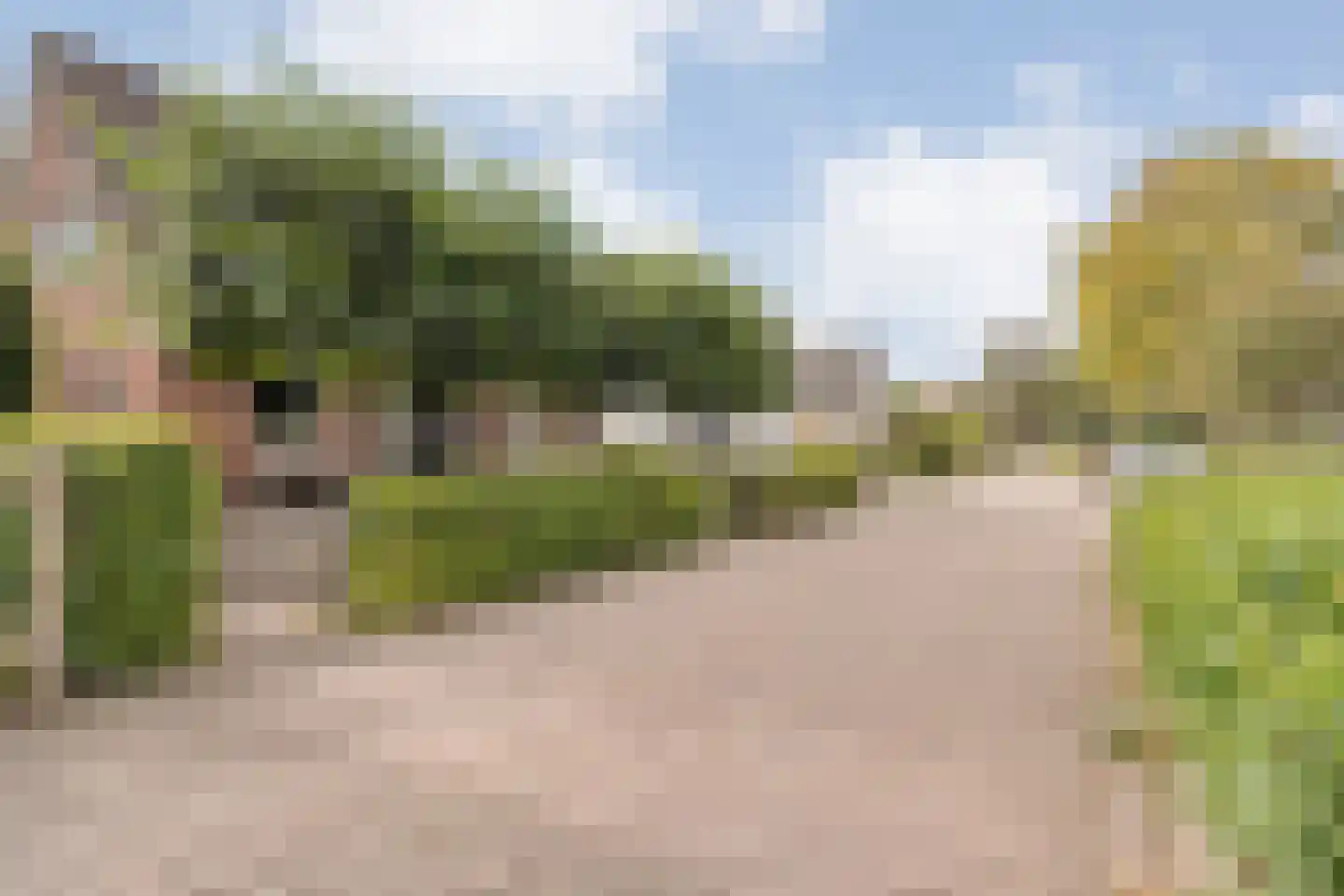 De Veenbies 12 Dedemsvaart thumbnail 62