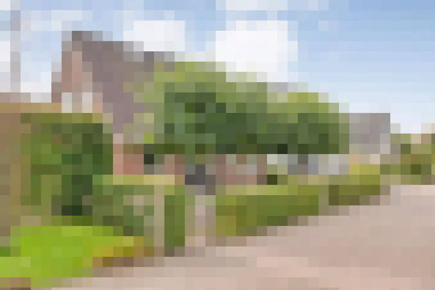 De Veenbies 12 Dedemsvaart thumbnail 63