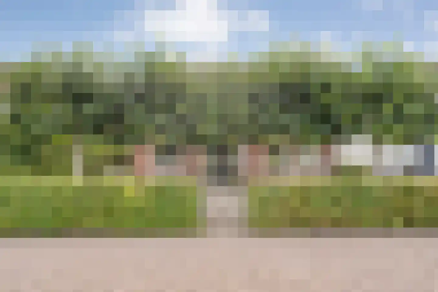De Veenbies 12 Dedemsvaart thumbnail 64