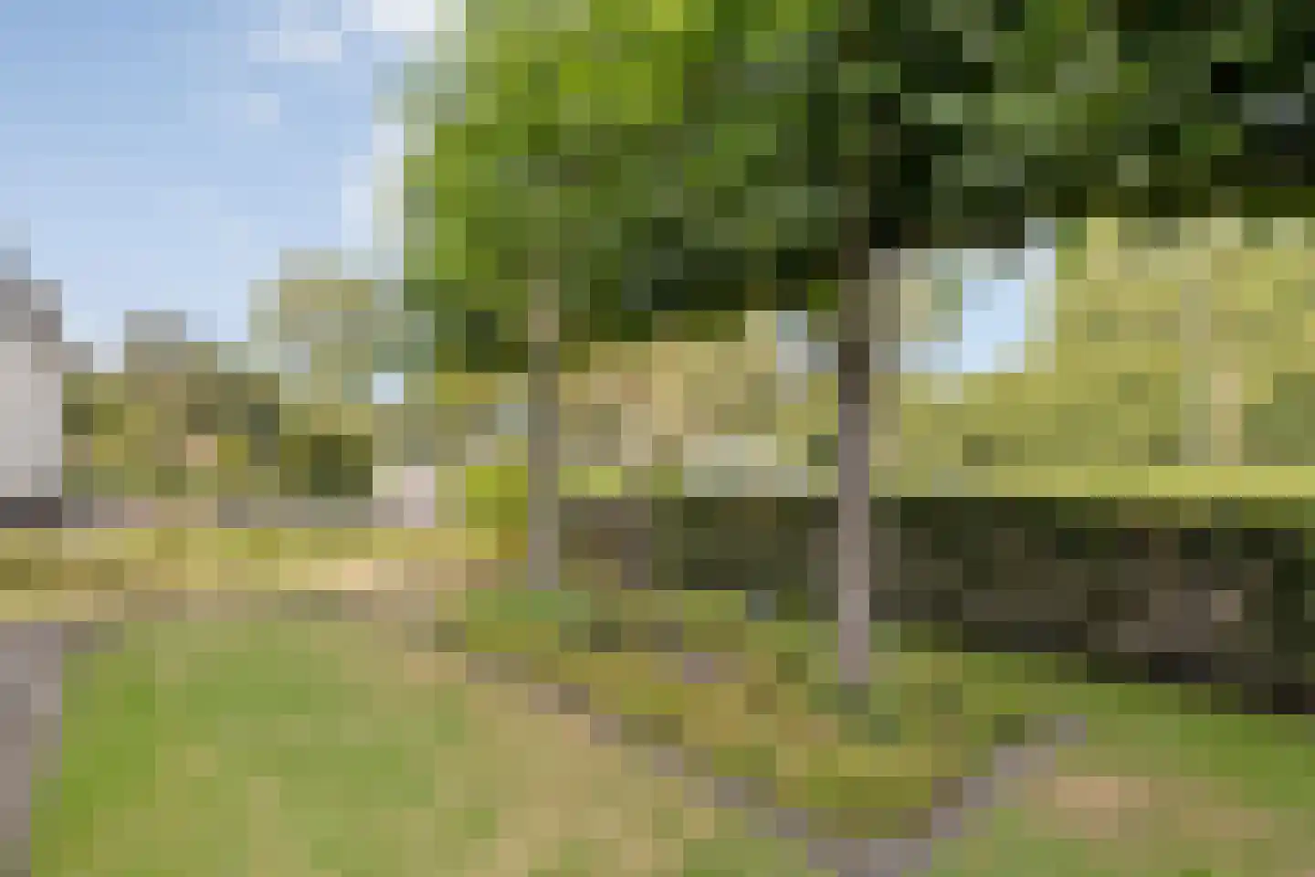 De Veenbies 12 Dedemsvaart thumbnail 65