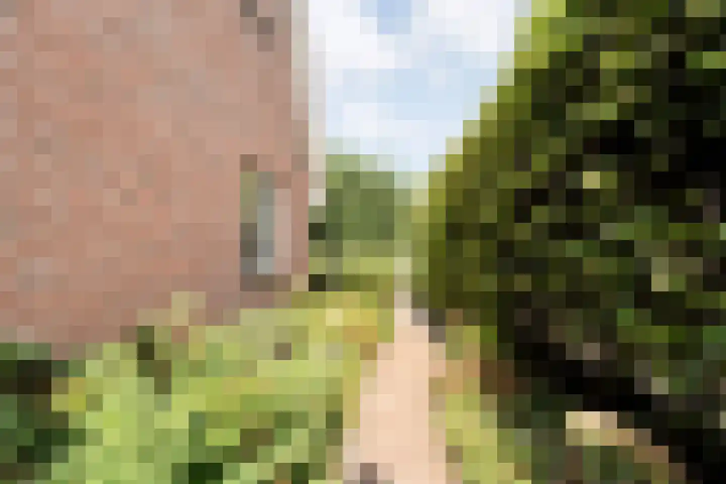 De Veenbies 12 Dedemsvaart thumbnail 66