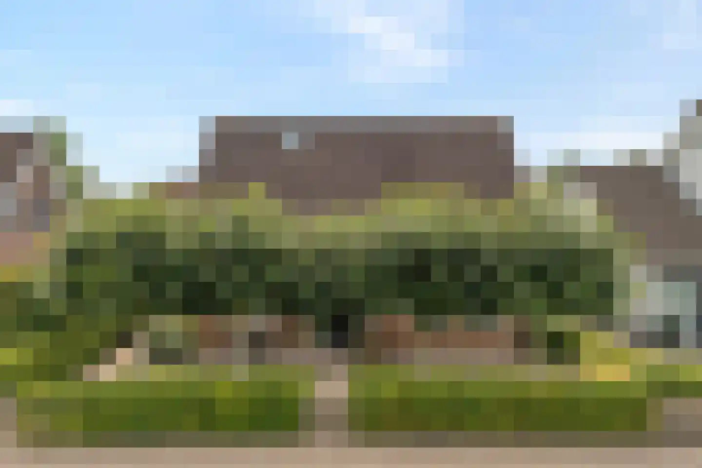 De Veenbies 12 Dedemsvaart thumbnail 67