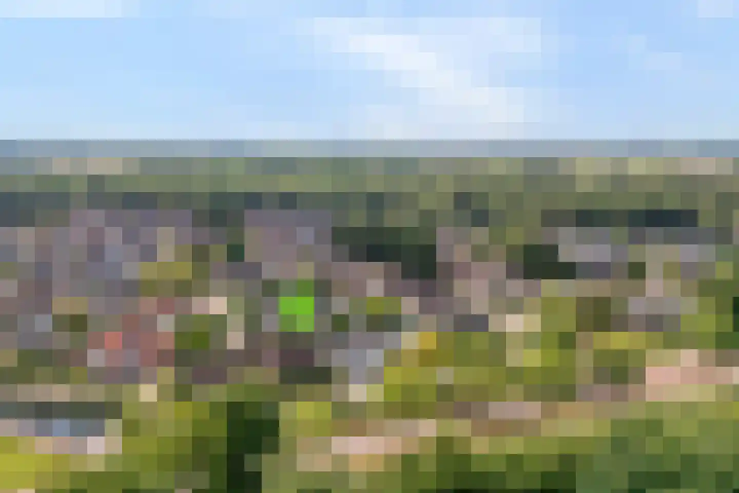 De Veenbies 12 Dedemsvaart thumbnail 68