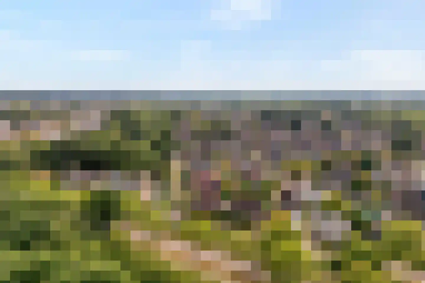 De Veenbies 12 Dedemsvaart thumbnail 69