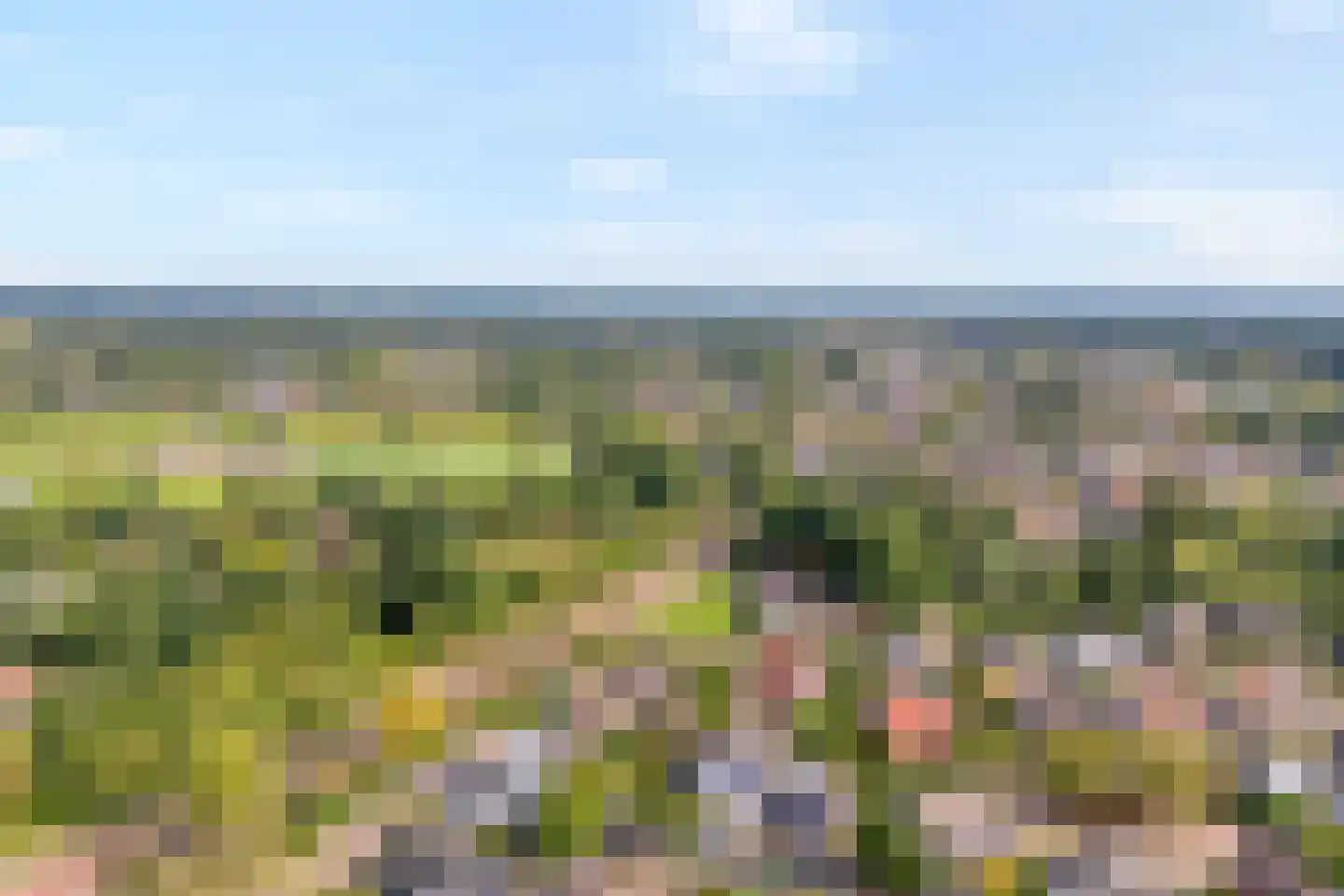 De Veenbies 12 Dedemsvaart thumbnail 70