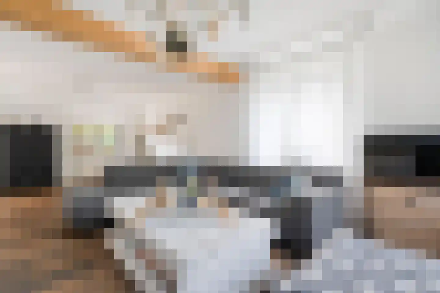 De Veenbies 12 Dedemsvaart thumbnail 8