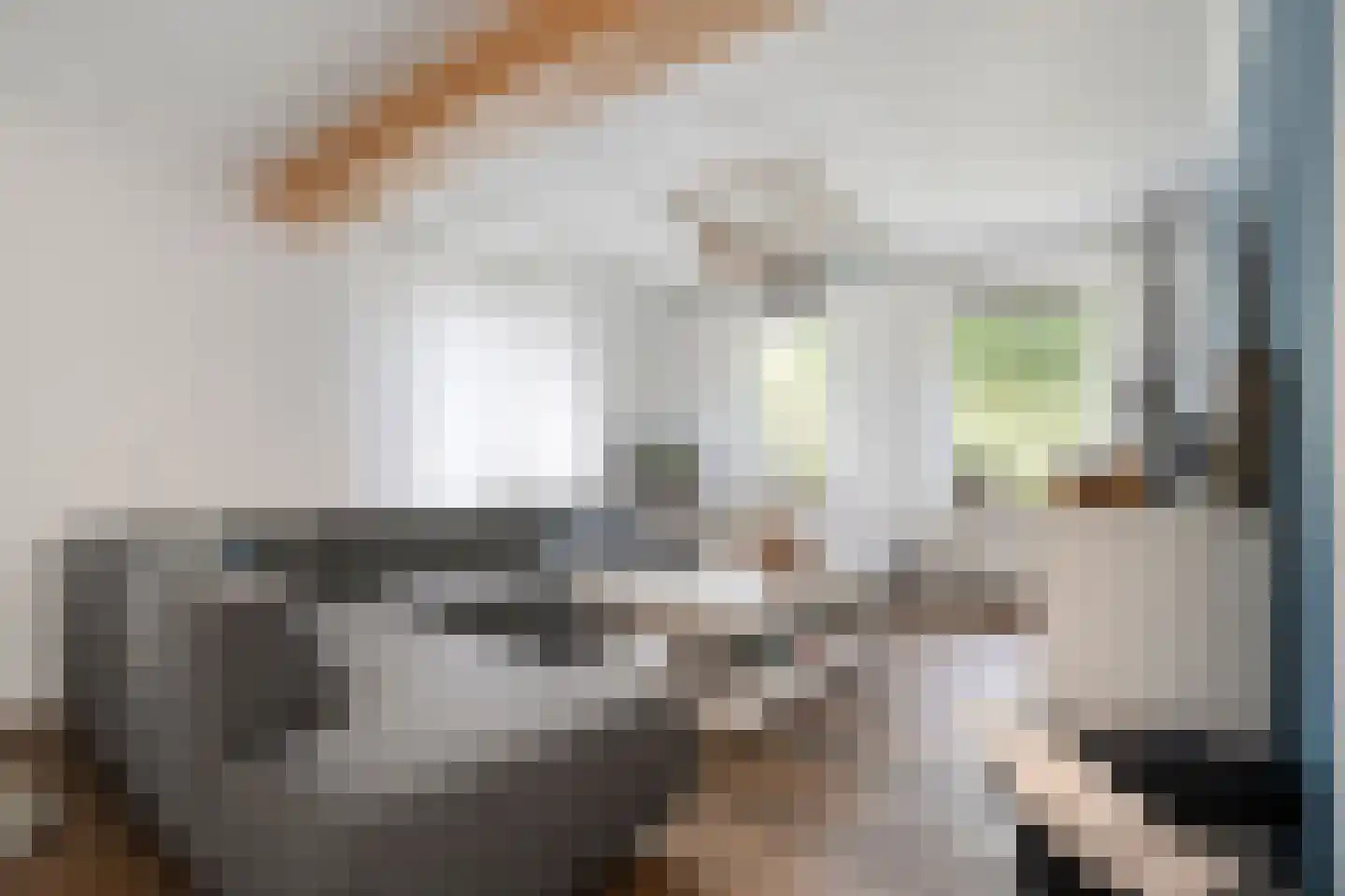 De Veenbies 12 Dedemsvaart thumbnail 9