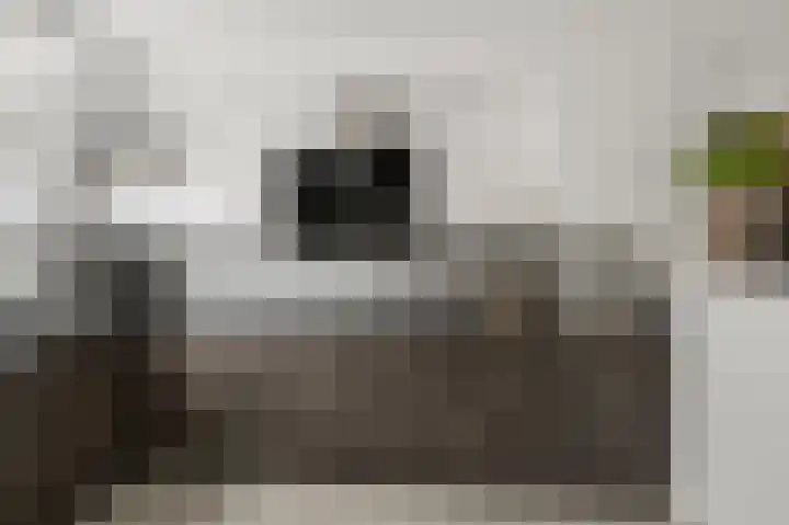 De Veenderij 26 Nieuwkoop thumbnail 12
